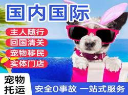 浦东机场物流国际宠物托运 【国